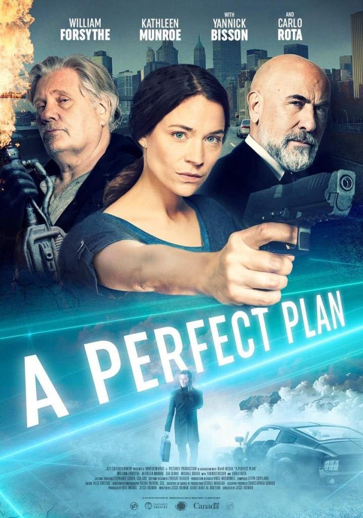 A Perfect Plan (2020) - Hollywood movie